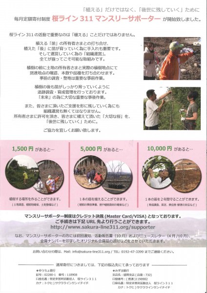桜ライン②