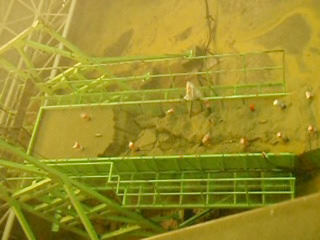 情報発信杭　降雨実験