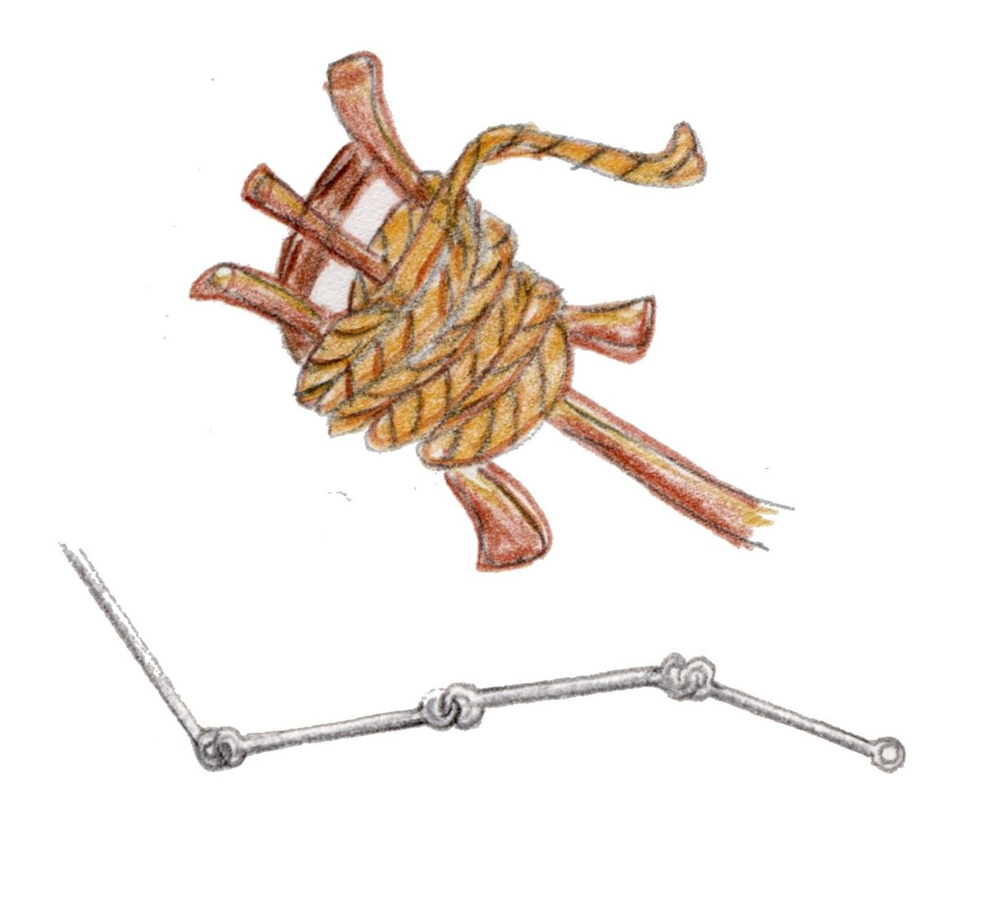 n̒n}Ă݂悤